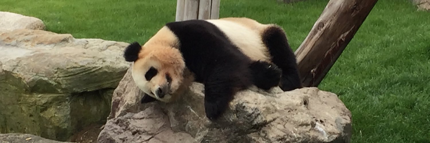 抹茶っちゃ@SEEDはキラ推し banner