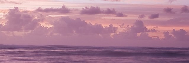 jsxshx's profile banner image