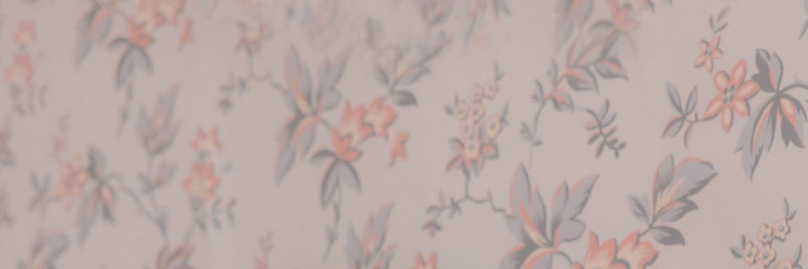 shonswendy's profile banner image