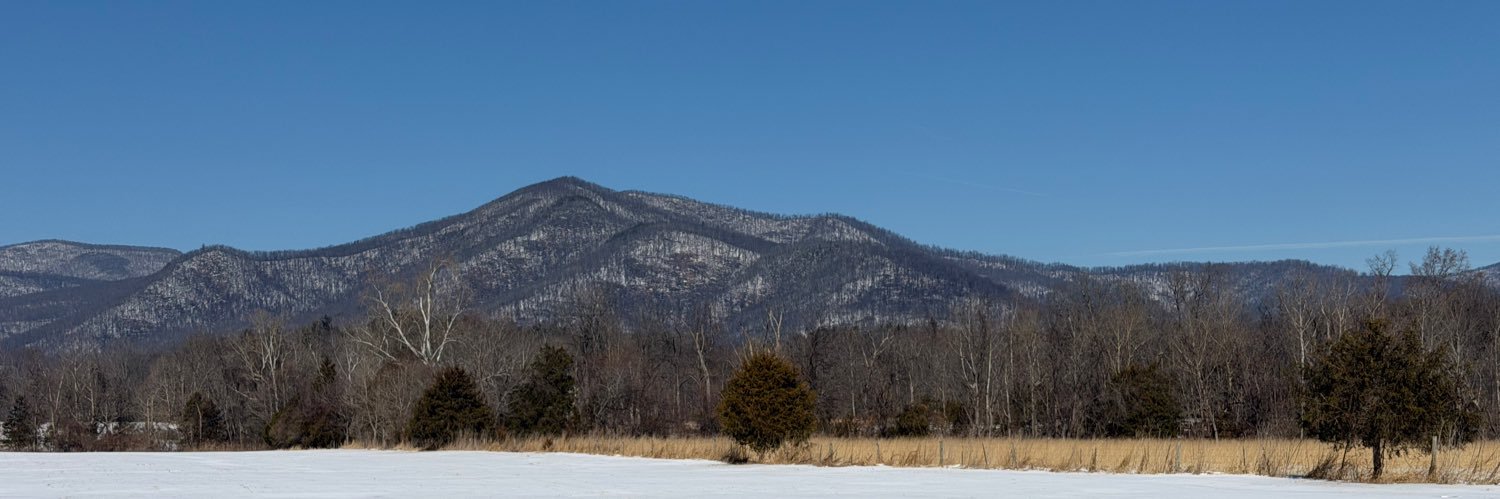 Georgia Boy 🇺🇸 banner
