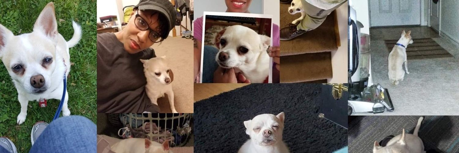 shewritesagain's profile banner image
