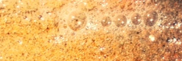 SadeIneed's profile banner image