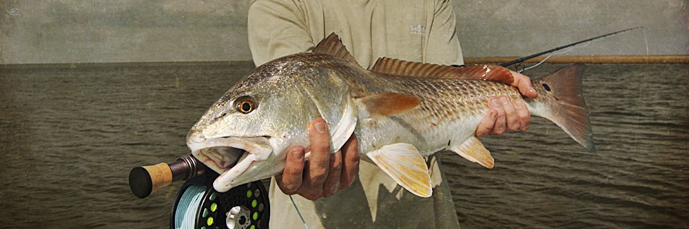 MauserFlyFish's profile banner image