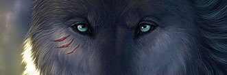 snowwhite719's profile banner image