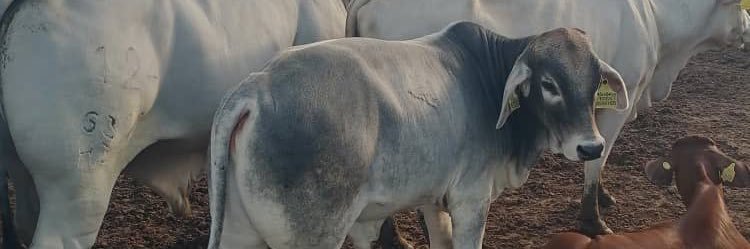 Ms Petite😮‍💨 banner