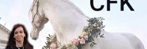 mskorach's profile banner image