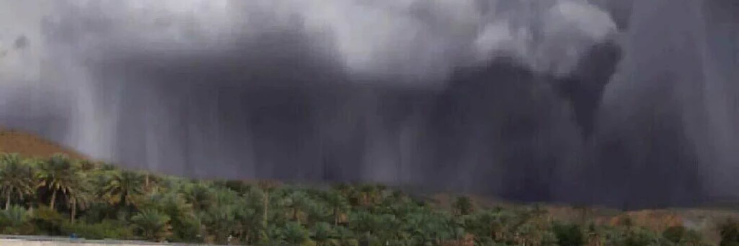 urtiger99999997's profile banner image
