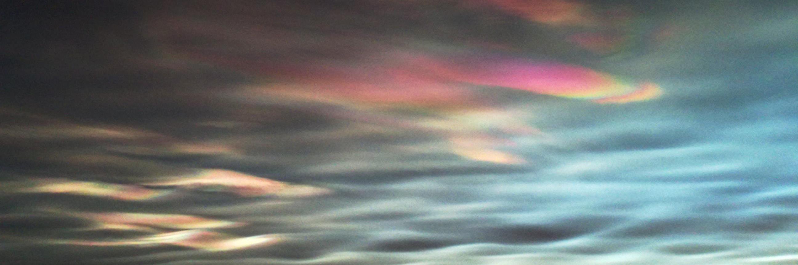 Beatrix Vereijken banner