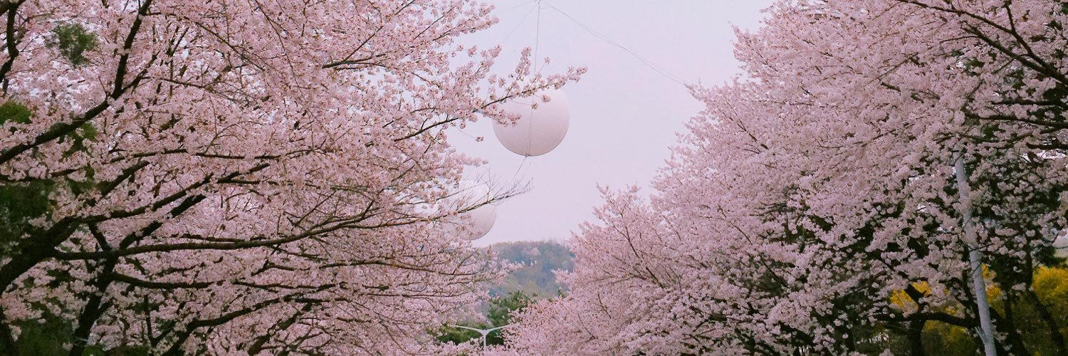eh_8591's profile banner image