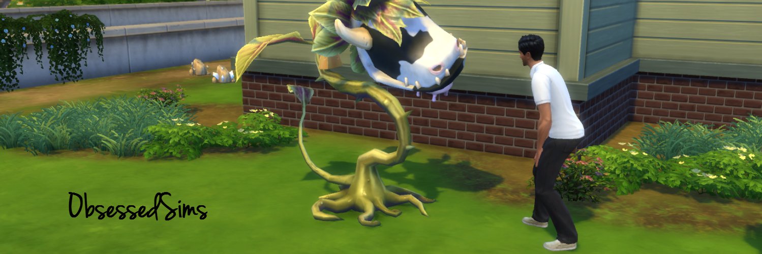 ObsessedSims_'s profile banner image