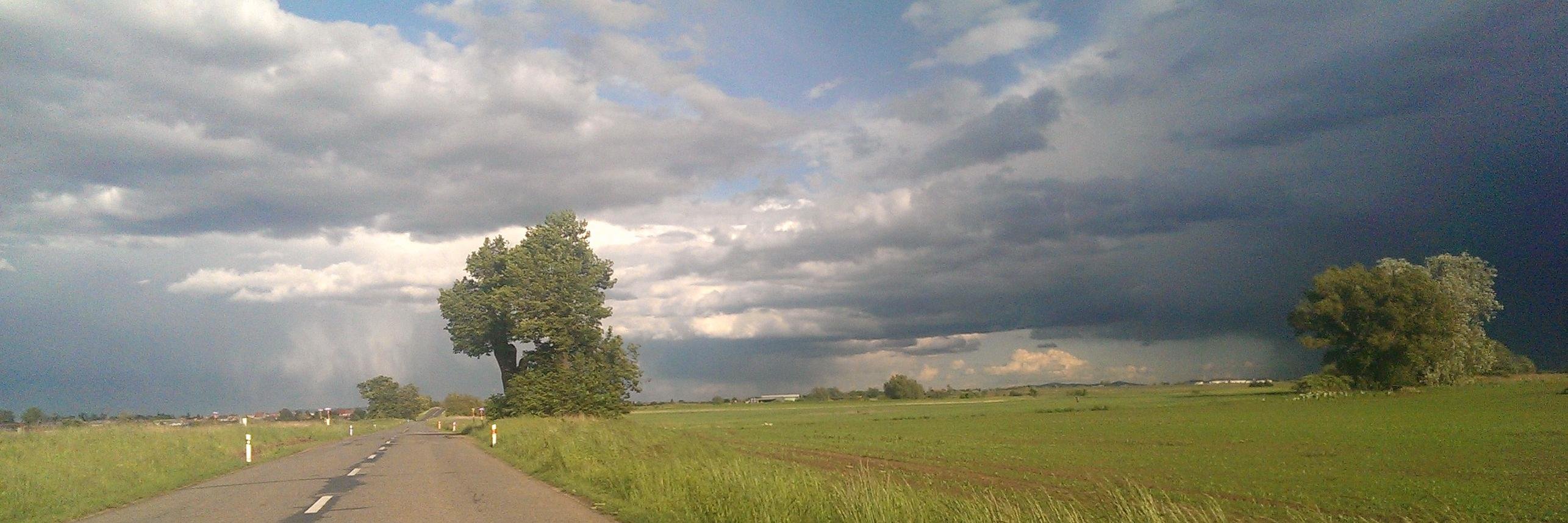 Marek Ba banner
