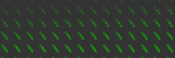 ChusteckiSci Profile Banner
