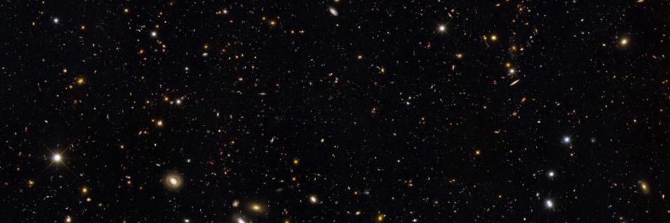 chris_mei banner