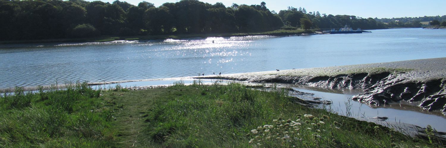 Robert Daly🇮🇪🇪🇺🇵🇸🐶🎶📸 banner