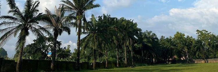ENtee_Presh's profile banner image