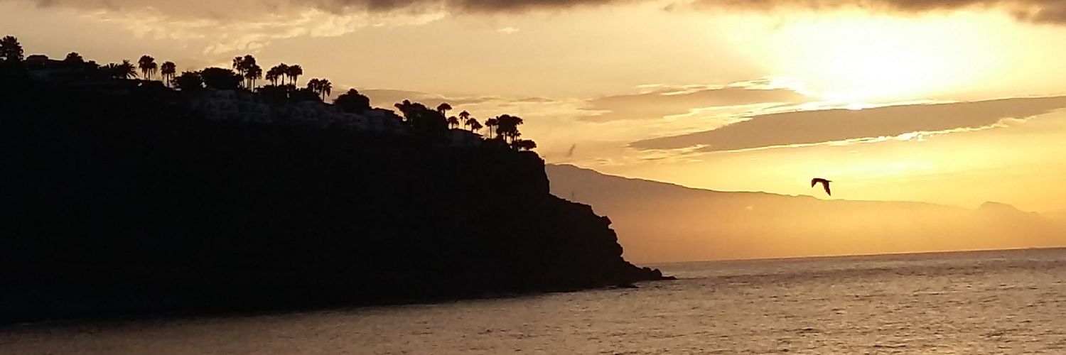negrinalonso's profile banner image