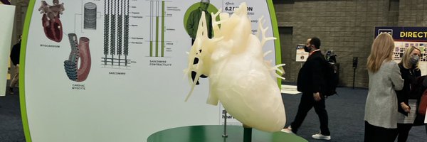 1Heba Profile Banner