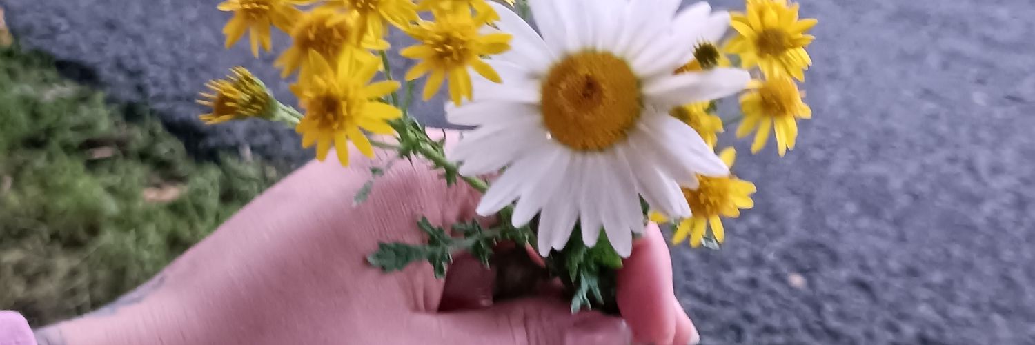 𝖊𝖑𝖎𝖛𝖆𝖓🦎 banner