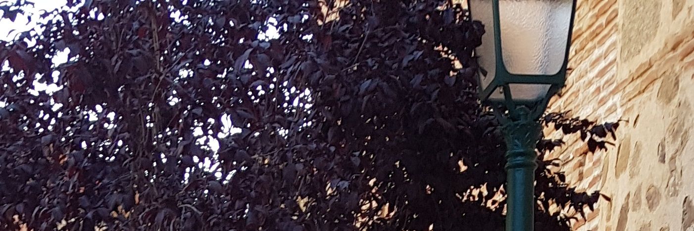 ___Ahora_'s profile banner image