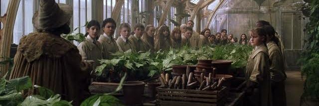 certainmandrake's profile banner image