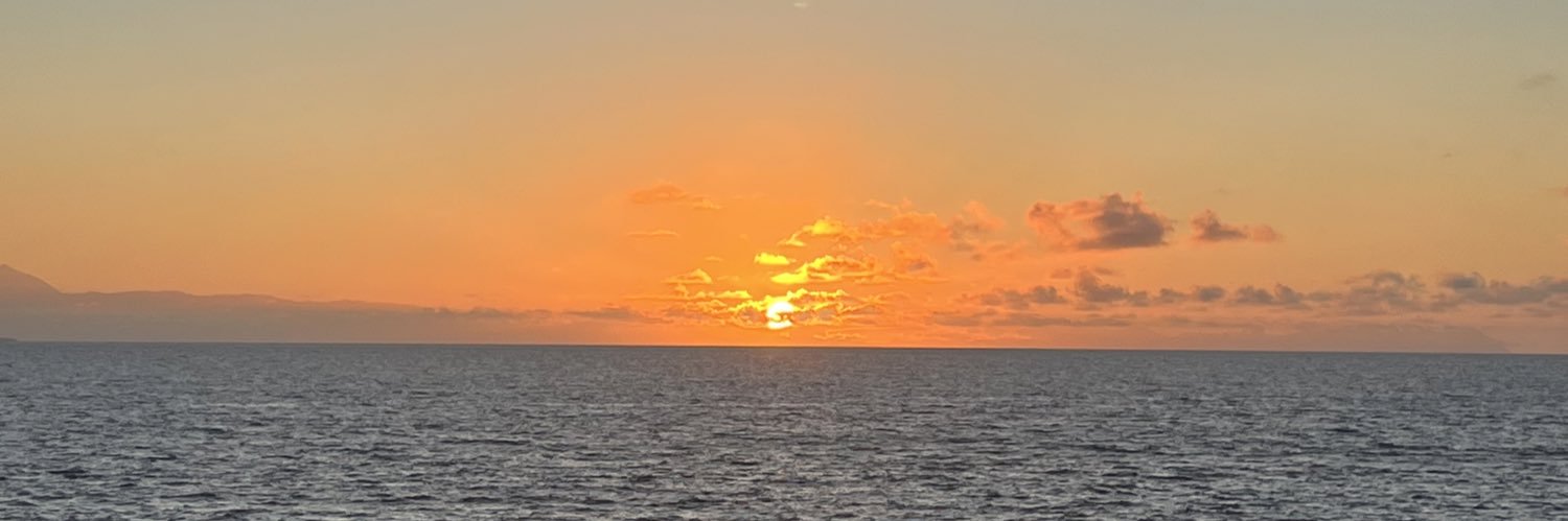 luzardoosanz's profile banner image