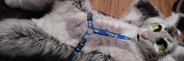 _traces Profile Banner