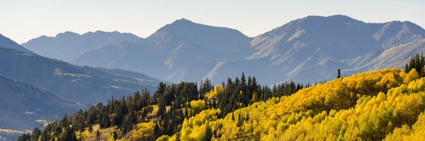 CampbellJustinM Profile Banner