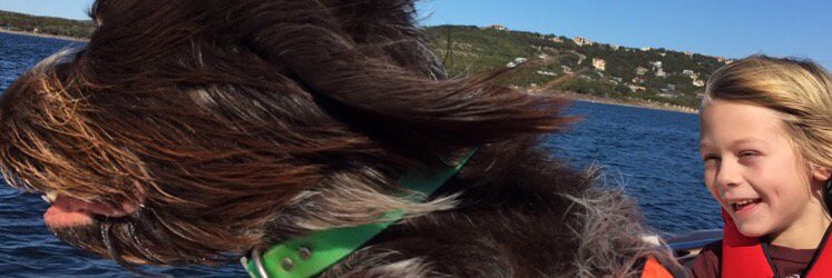 oliver_mindy's profile banner image
