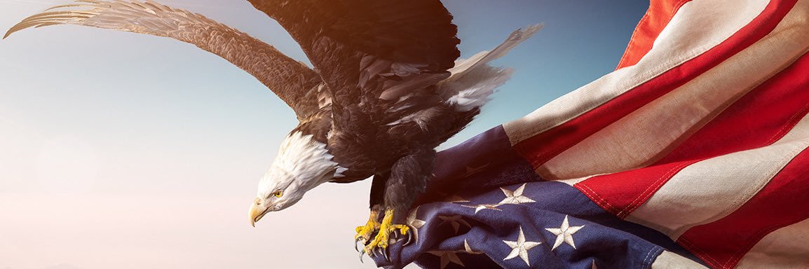 AverageHunter's profile banner image
