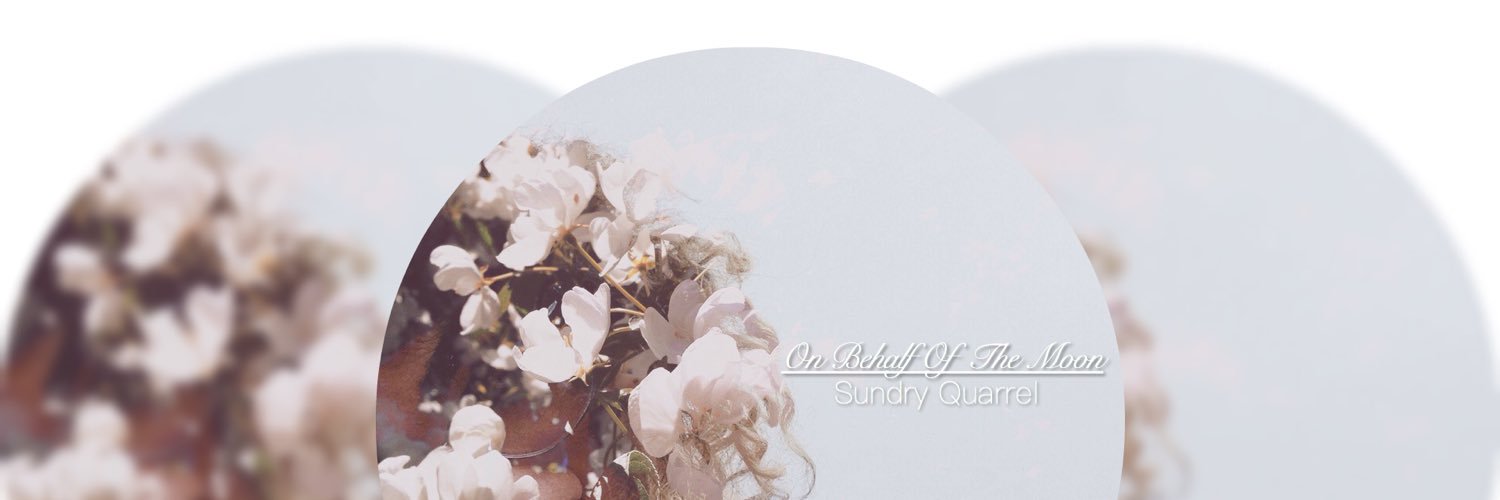 SundryQuarrel's profile banner image