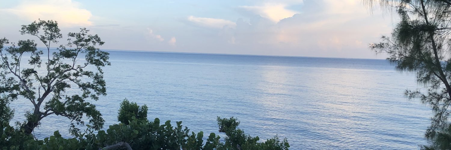 toniyolande's profile banner image