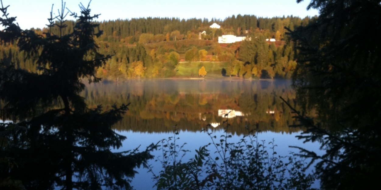 vindspoll's profile banner image