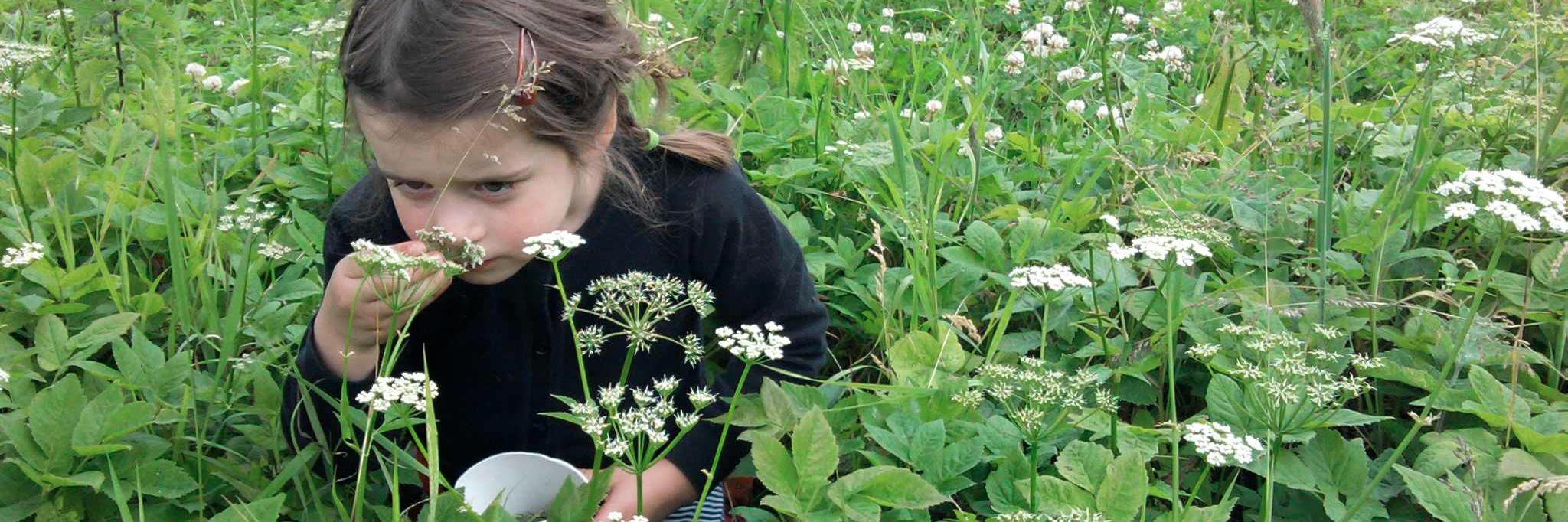 BristolForestSchool banner