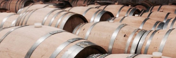 ToroRunWinery's profile banner image