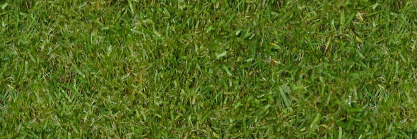 Anders Pollas banner