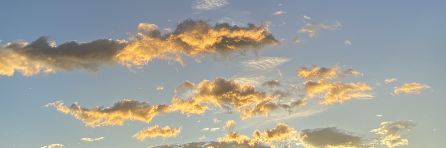 vinoloko's profile banner image