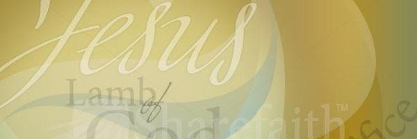 TynettaGist Profile Banner