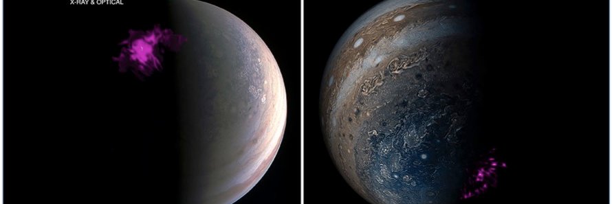 Dr William Dunn banner