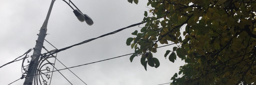 Glooga-Ray🌺 banner