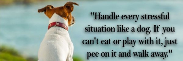 dogsabode Profile Banner