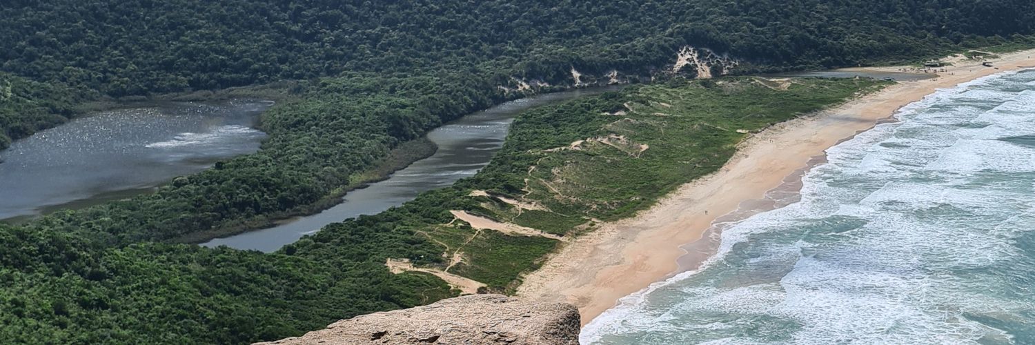 cindymorais's profile banner image