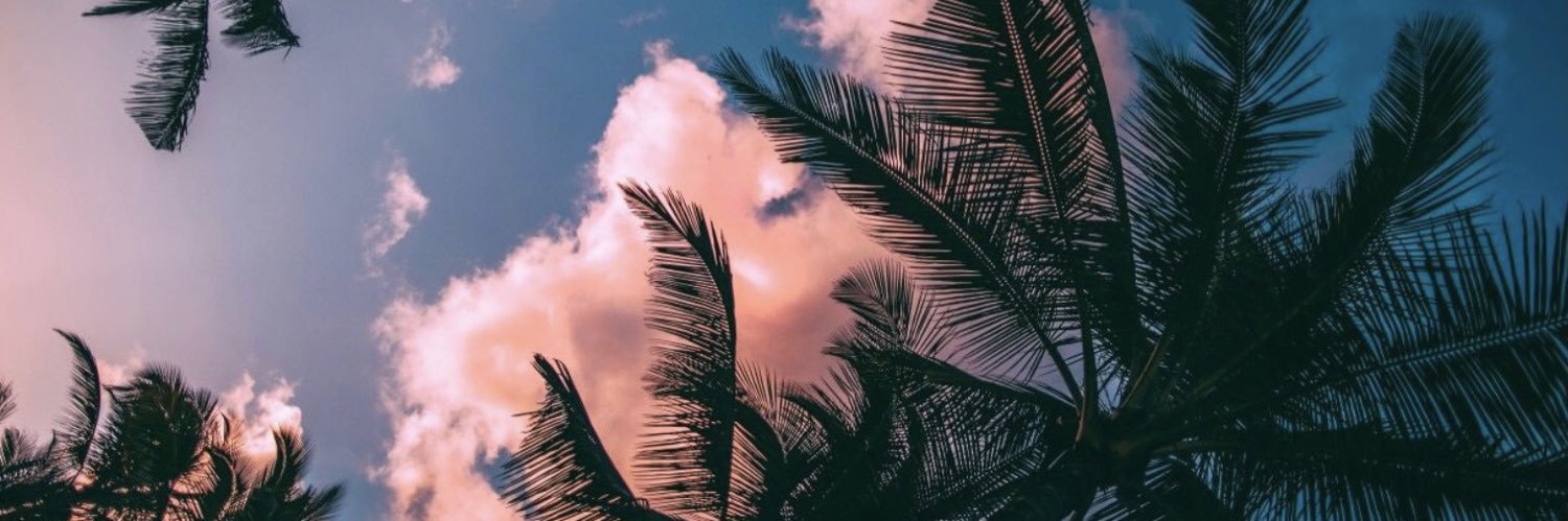 SoledadMusicco's profile banner image