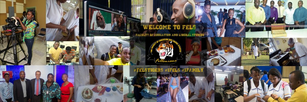 Fels_tigers's profile banner image