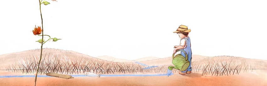 lirelo's profile banner image