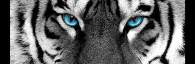 ManuGlez7's profile banner image