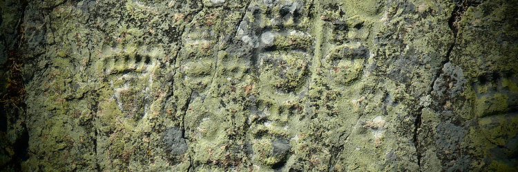 Chris Bessler banner