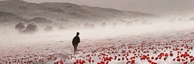 Matt banner