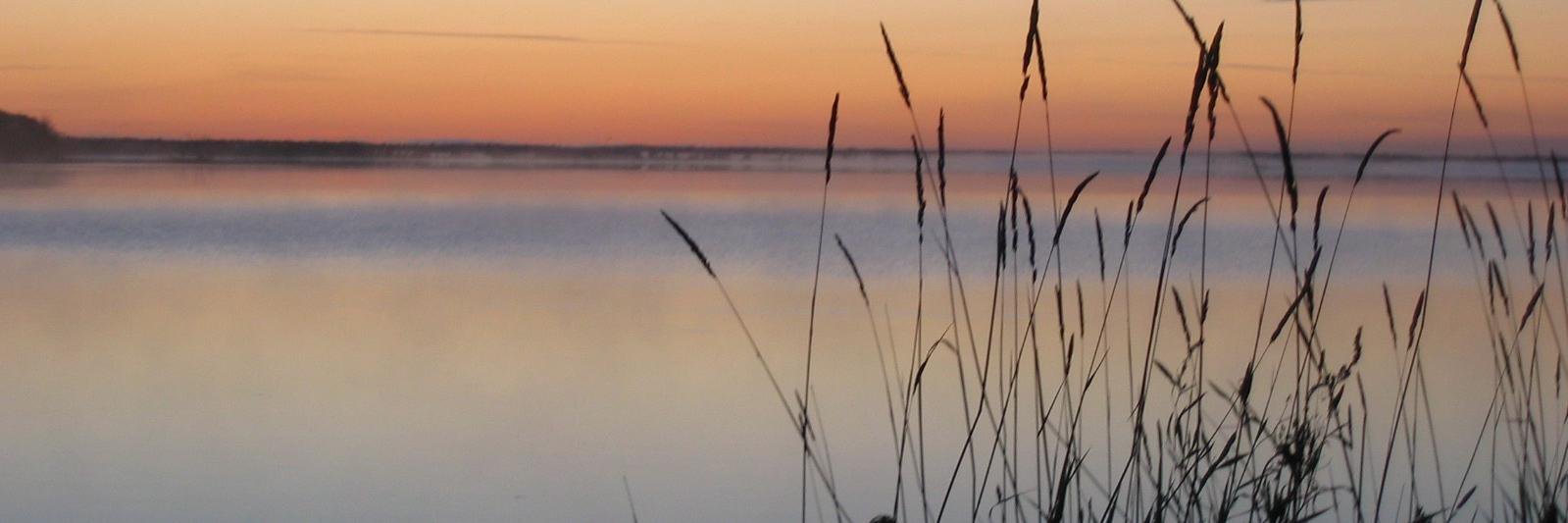 Keith Suderman banner