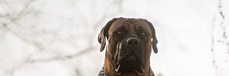 thinkingallweek's profile banner image