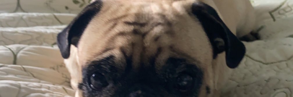Ben_Gee51's profile banner image